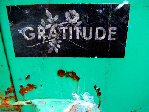 gratitude graphic