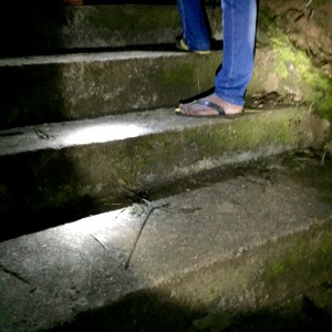 Our guide, in his traditional Sri Lankan shoes, climbing Sri Pada (Adam's Peak) 