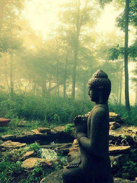 Walking the Lone Buddha Path