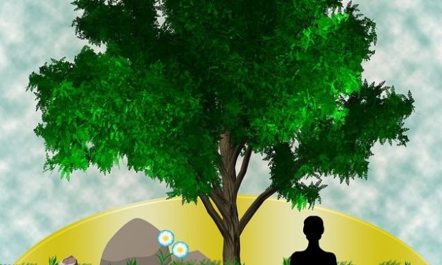 6 Things You Can Do to Become a Morning Person