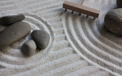 What is a Zen Garden & Should I Have One?