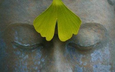Shantideva on Mindfulness {The Eightfold Path}