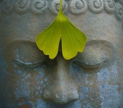 Shantideva on Mindfulness {The Eightfold Path}