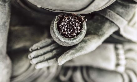 The Fifth Precept: Meditation is Not About Getting High (and Why I Don’t)