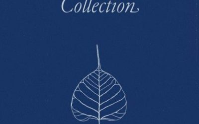 The Mindfulness in Plain English Collection {Book Review}