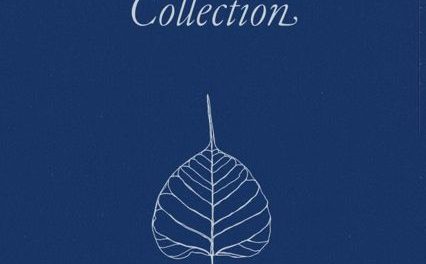 The Mindfulness in Plain English Collection {Book Review}