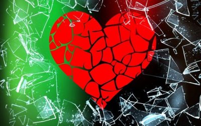 After the Sex Scandal: Navigating the Emotions of Shambhala’s Broken Trust