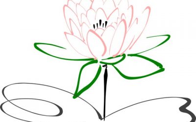 Zen Stories & Paying Attention to the Little Things