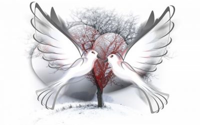 In the Deep Midwinter: The Warmth of Compassion {Part 2}