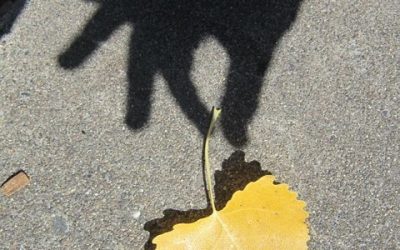 We Chase Happiness but We Already Have It | Video