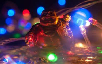 Patience: Finding Joy on The Back of the Tree