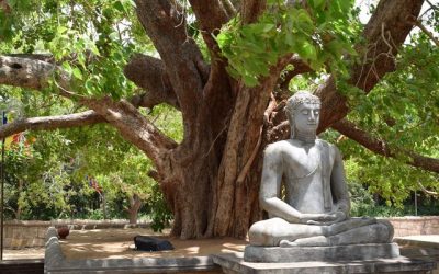 Mystical, Religious, Scriptural & Pragmatic Transmission in Zen