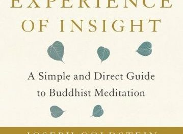 The Experience of Insight: A Simple and Direct Guide to Buddhist Meditation {Book Review}