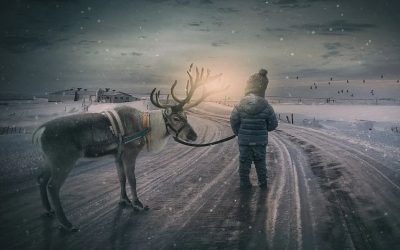 Bodhi Trees and Reindeer Paws: Walking the Path of Light