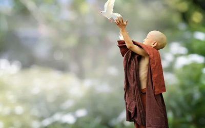 A Buddhist “How-to” on Forgiveness
