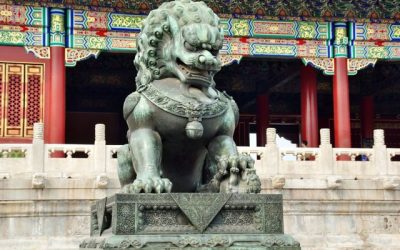 I Lost my Mind When I Lost my Foo Dog