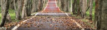 path