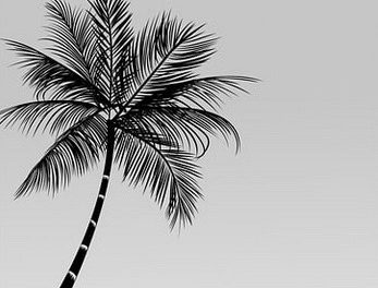 Coming Home to Yourself: Wild Woman Retreat at Light on the Hill