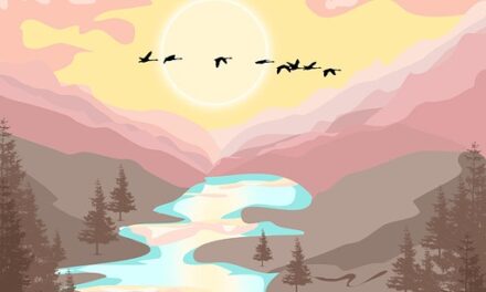 The River Has Many Sources