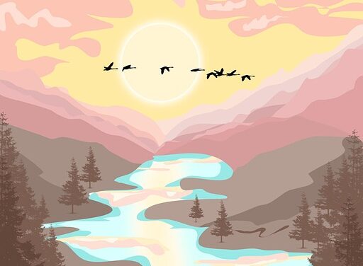 The River Has Many Sources